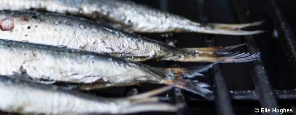 Queues de poissons sur une grille