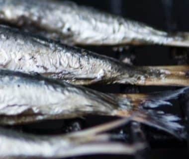 Queues de poissons sur une grille