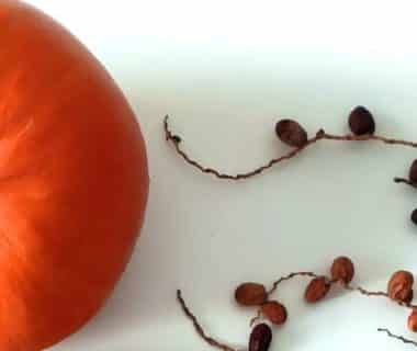 Vue en plongée sur une citrouille et quelques fruits secs