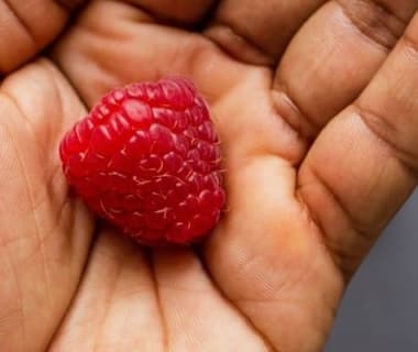 Framboise dans une main et quelques framboises en arrière plan