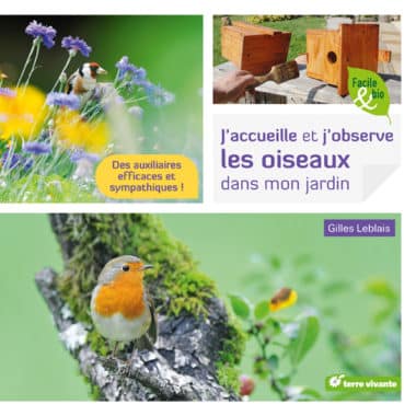 Fabriquer des boules de graisse pour les oiseaux - Jardinet - Équipez votre  jardin au meilleur prix