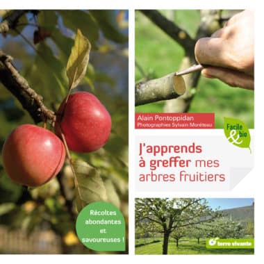 J'apprends à greffer mes fruitiers