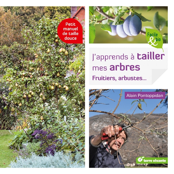 J’apprends à tailler mes arbres