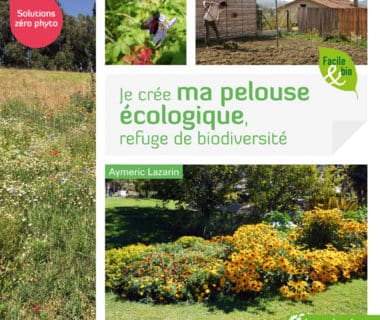 Je crée ma pelouse écologique, refuge de biodiversité