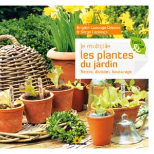 Je multiplie les plantes au jardin