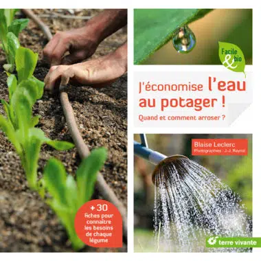 J'économise l'eau au potager !