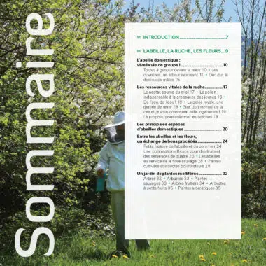 J'installe une ruche dans mon jardin ! 2