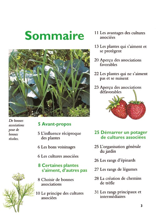 Le poireau préfère les fraises 3