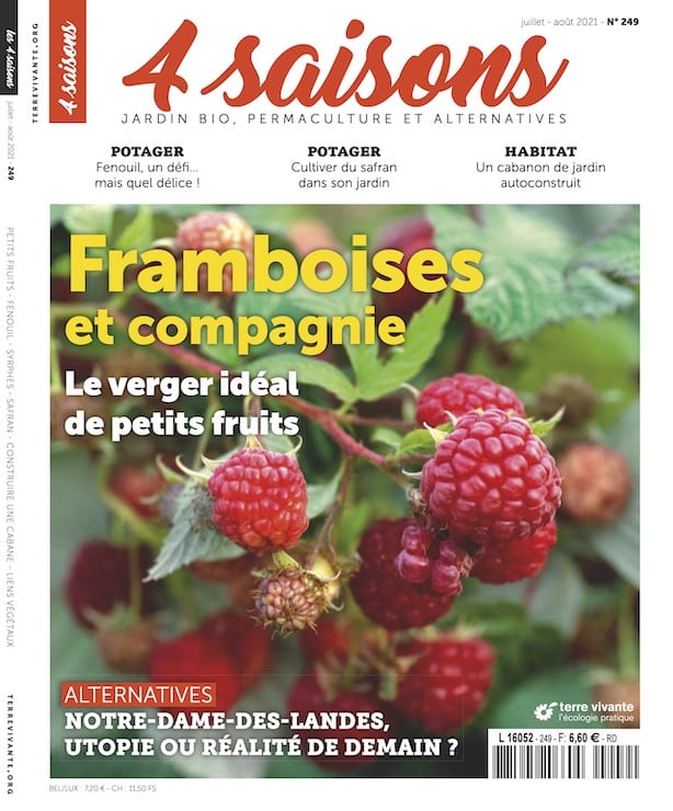 Les 4 saisons n°249