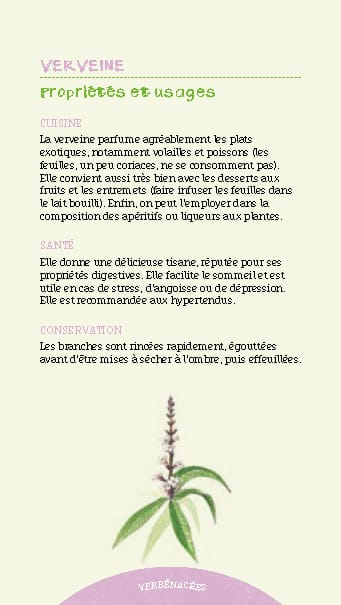 Les antisèches de Terre vivante : Aromatiques 4