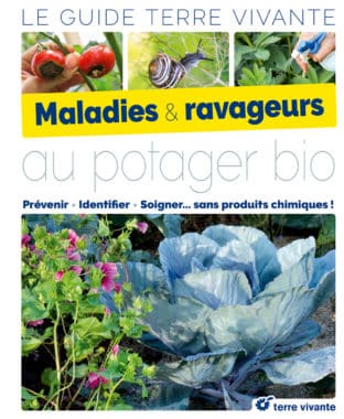 Maladies et ravageurs au potager bio