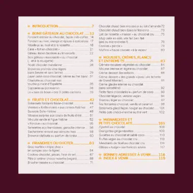 Mes irrésistibles recettes au chocolat 2