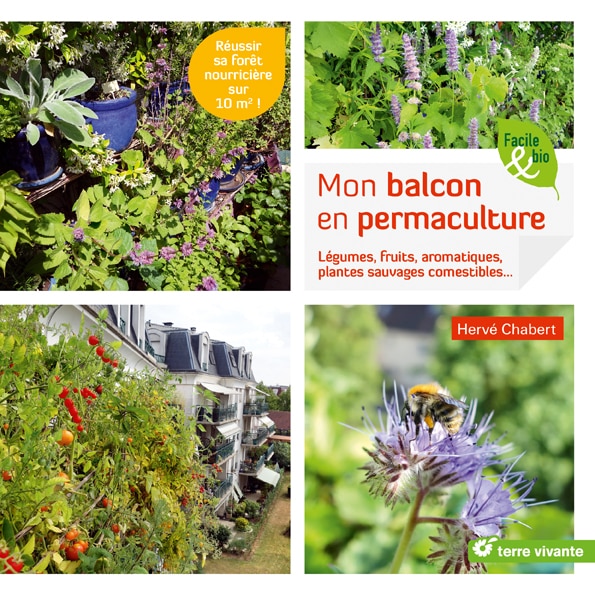 Mon balcon en permaculture !