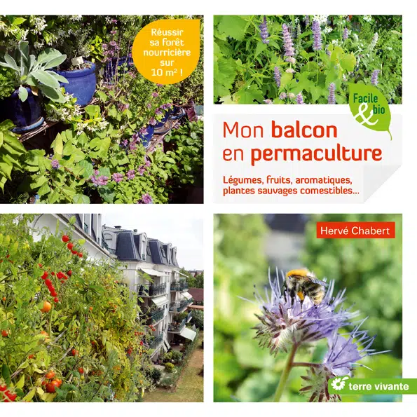 Mon balcon en permaculture !