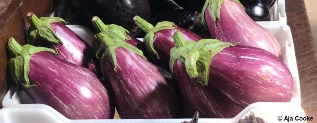 Un petit étalage d'aubergines