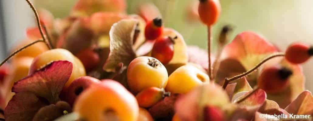 Petites pêches dans un décor de feuilles et de fleurs orangé