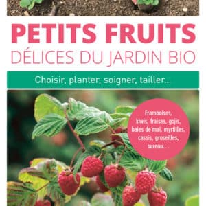 Petits fruits, délices du jardin bio