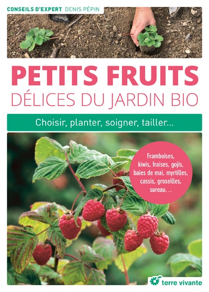 Petits fruits, délices du jardin bio