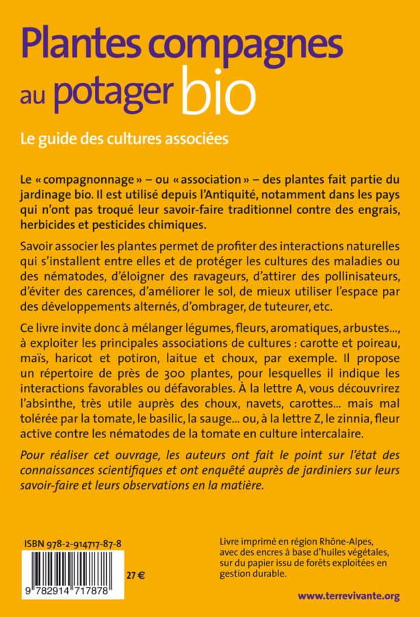 Plantes compagnes au potager bio 1