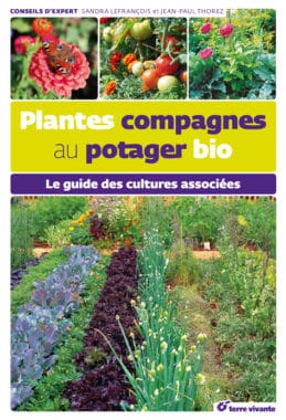 Plantes compagnes au potager bio