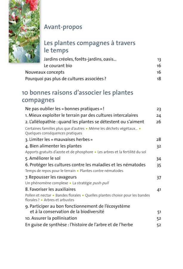 Plantes compagnes au potager bio 3