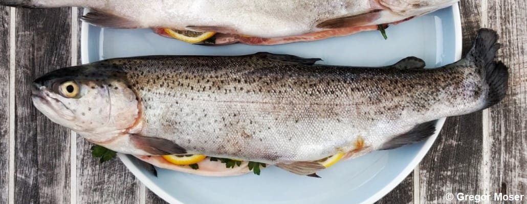 Poisson estival dans son assiette