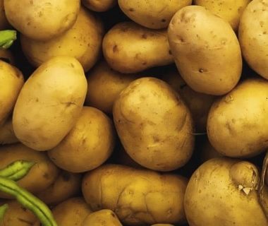 Pommes de terre au milieu de légumes verts