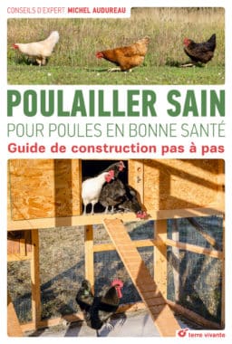 Poulailler sain pour poules en bonne santé