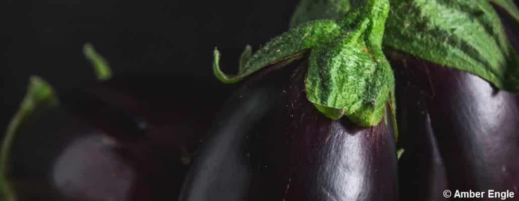 Gros plan sur des aubergines