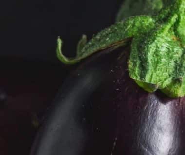 Gros plan sur des aubergines