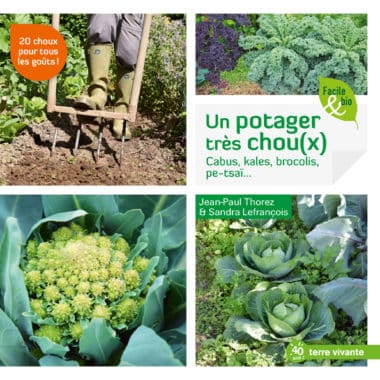 Un potager très chou(x)