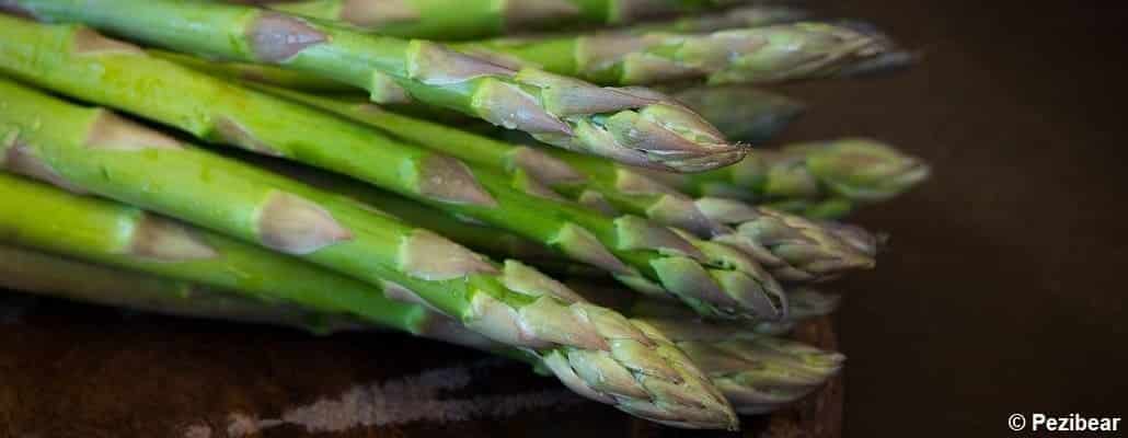 Gros plan sur des asperges