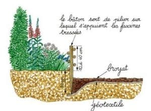 Dessin montrant la hauteur de la bordure avec les bâtons et les facines