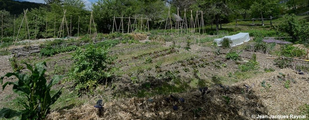 Vue générale sur le potager