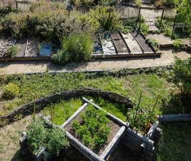 Des arbres, des fleurs, et un potager en hauteur