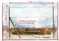 Dessin montrant comment rigidifier une haie avec du fil de fer et des jambes de force