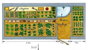 Dessin d'un plan d'une serre adossée avec les dimensions