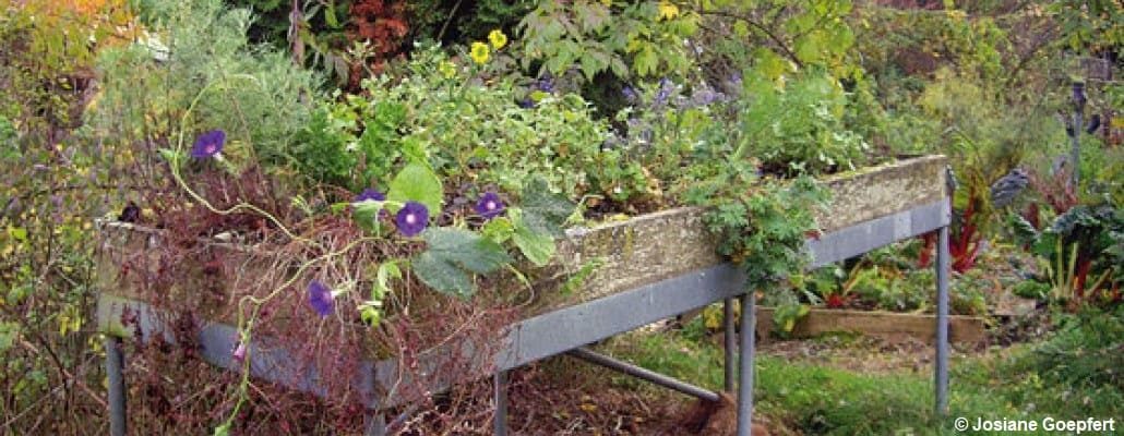 Fabriquer et cultiver un potager surélevé