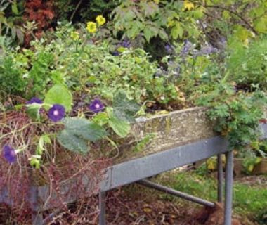 Fabriquer et cultiver un potager surélevé