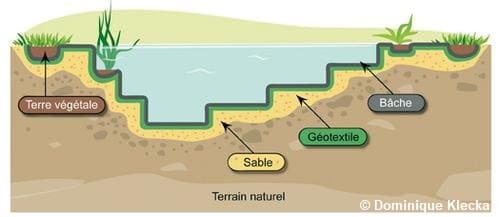 Schéma d'une mare artificielle sur un terrain naturel