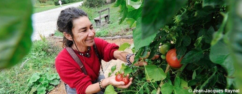La jardinière, heureuse de récolter ses tomates rouges