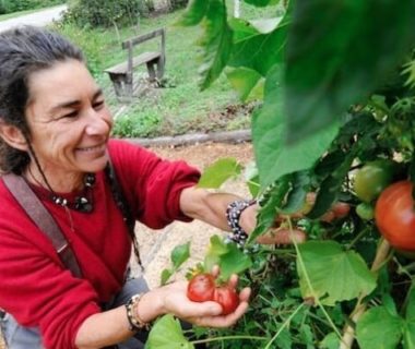 La jardinière, heureuse de récolter ses tomates rouges
