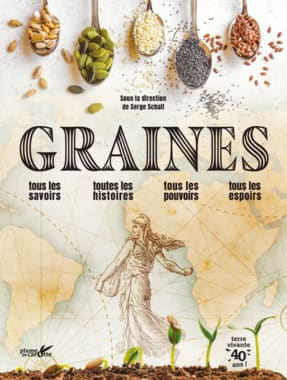 Nos graines feve fève extra précoce a grano violetto - La Bonne Graine