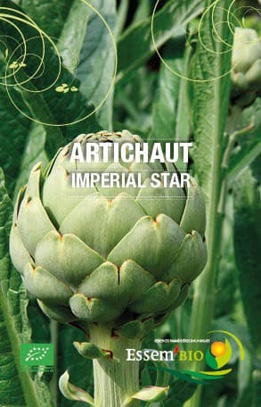 Graines Artichaut Imperial Star bio – Essembio