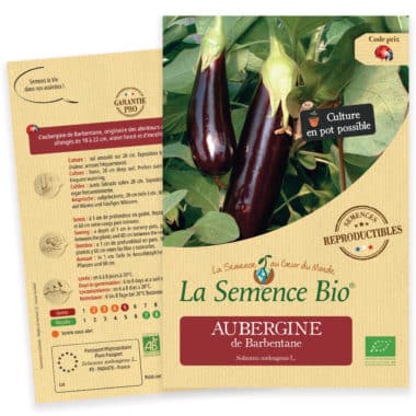 Graines Aubergine violette de Barbentane bio 1