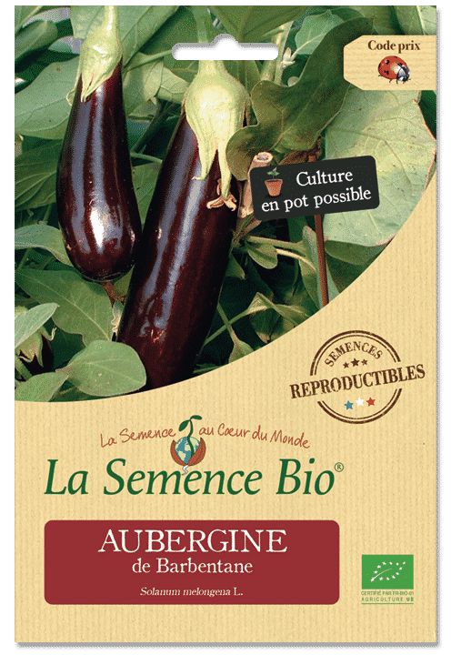 Graines Aubergine violette de Barbentane bio