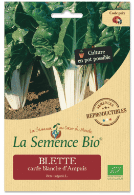 Graines Blette carde blanche d'Ampuis bio - La semence bio