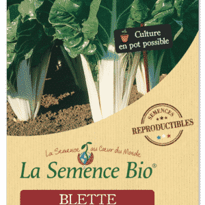 Graines Blette carde blanche d'Ampuis bio - La semence bio