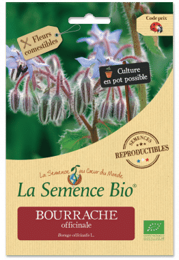 Graines Bourrache officinale bio - La semence bio 1