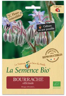 Graines Bourrache officinale bio - La semence bio 1